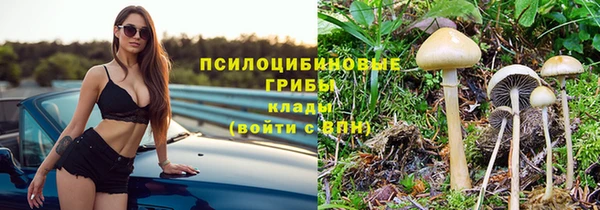 ешки Верея