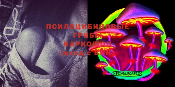 ГАЛЛЮЦИНОГЕННЫЕ ГРИБЫ Верхний Тагил