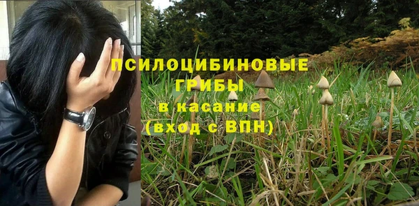 PSILOCYBIN Верхнеуральск