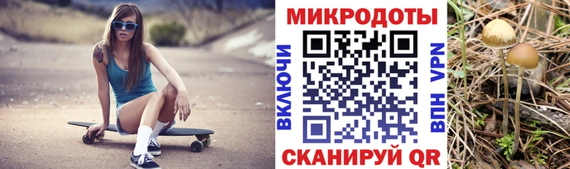 Купить  Алзамай  Псилоцибиновые грибы GOLDEN TEACHER 