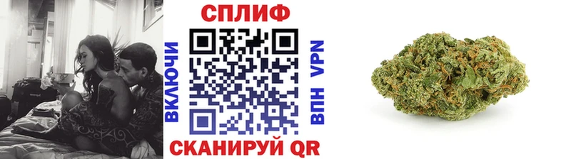Канабис AK-47  Купить закладки  Алзамай 